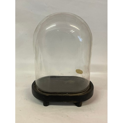 524 - Similar To Previous Lot Taxidermists Glass Dome. 31cms High