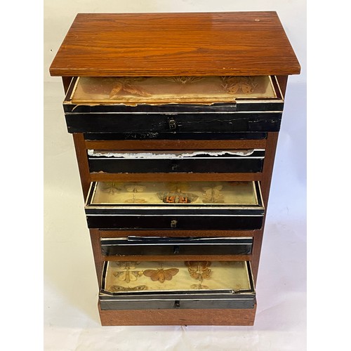 176 - Eight Drawer Specimen / Taxidermists Case Along With Some Contents. 37 x 24 x 66 cms