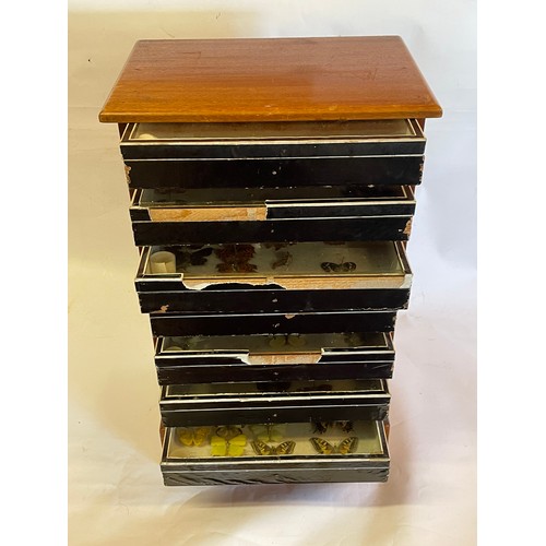 177 - Similar To Previous Lot Seven Drawer Specimen / Taxidermists Case Along With Some Contents. 36 x 25 ... 