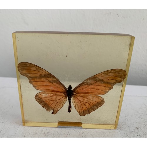 140 - Similar To Previous Lot
Collection Of 5 Vintage Acrylic Enclosed Educational Butterflies
7 x 7 cms