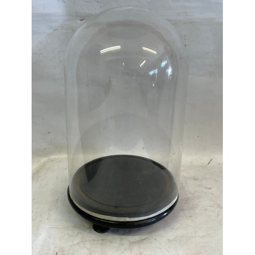 473 - Taxidermists Glass Dome /Bell Jar. 41 cms High