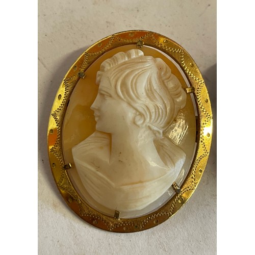 483 - A Gold Coloured Untested Cameo Along With A Similar Brooch (2)