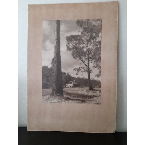 463 - John Kauffmann ( 1864-1942 Austalia) An Early Photograph/Plate entitled A roadside Home to lower lef... 