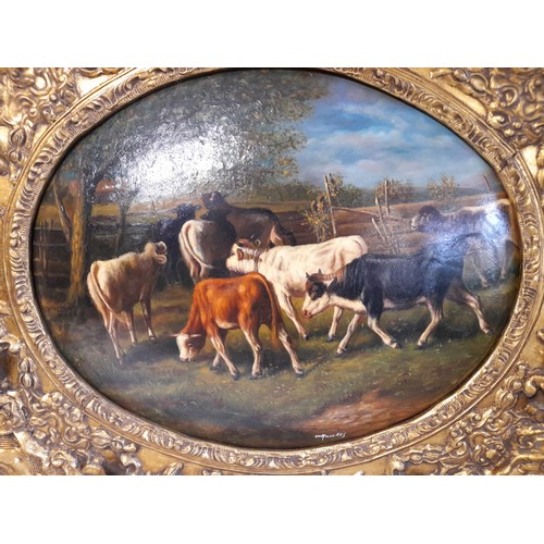 51 - Framed Oil Painting  On Convex Backing Of A Continental Cattle Scene. Signed Lower Right 71cm x 61cm