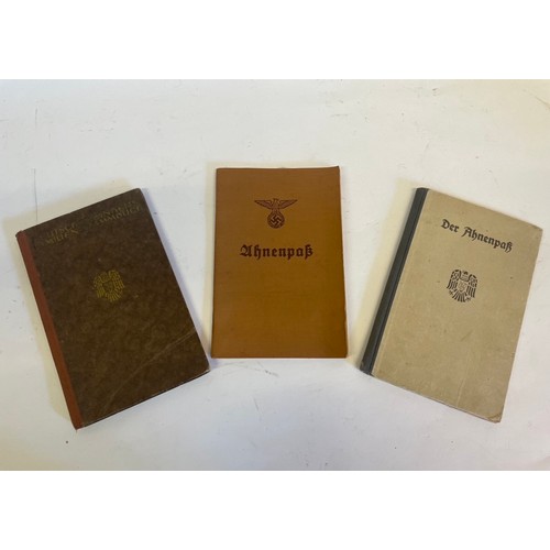 550 - Three WW2 German Passports To Include Rudolf Stolle Etc (3)