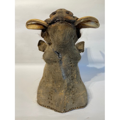 4 - Good Mounted Taxidermy Warthog Mount 53cm x 41cm x 40cm