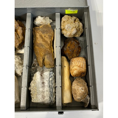 16 - Natural History Quantity Of Case Rocks To Include Tanzanite, Quartz, Fossilised Monkey Puzzle Etc.  ... 