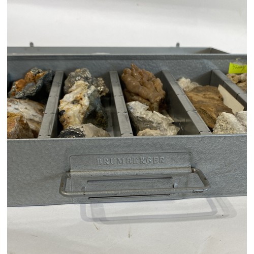 16 - Natural History Quantity Of Case Rocks To Include Tanzanite, Quartz, Fossilised Monkey Puzzle Etc.  ... 