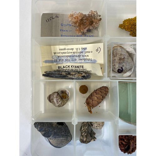 23 - Minerals / Rocks  Etc in Plastic Case To Include Kyanite ,Snails  27cm x 19cm x 4.5cm