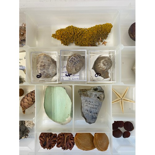 23 - Minerals / Rocks  Etc in Plastic Case To Include Kyanite ,Snails  27cm x 19cm x 4.5cm