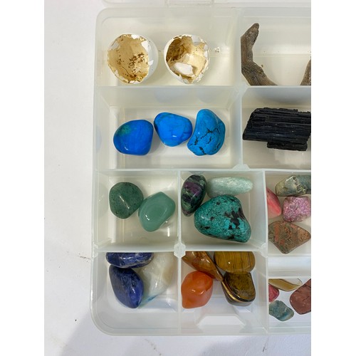 24 - Various Minerals Etc In  Plastic Case 27cm x 19cm x 4.5cm