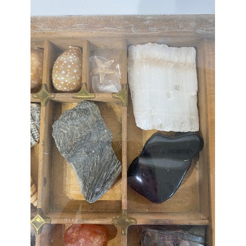 28 - A Good Section Of Minerals Etc To Include Lapis , Crystal , Fossilised Tooth Of Crocodile , Fossil B... 