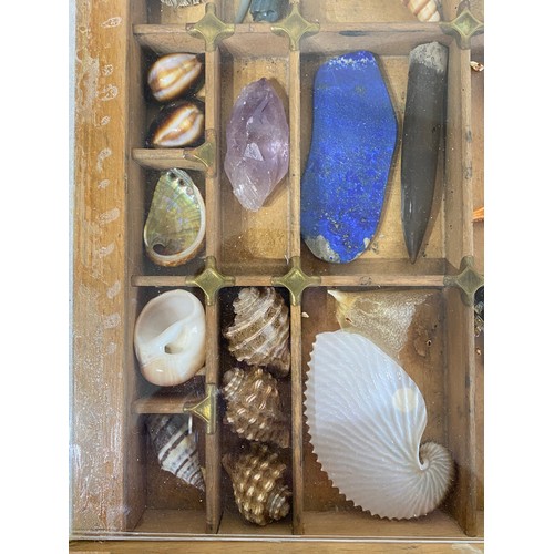 28 - A Good Section Of Minerals Etc To Include Lapis , Crystal , Fossilised Tooth Of Crocodile , Fossil B... 