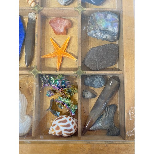 28 - A Good Section Of Minerals Etc To Include Lapis , Crystal , Fossilised Tooth Of Crocodile , Fossil B... 