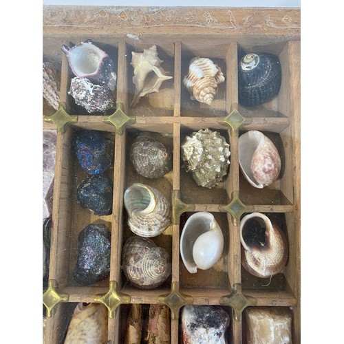 28 - A Good Section Of Minerals Etc To Include Lapis , Crystal , Fossilised Tooth Of Crocodile , Fossil B... 