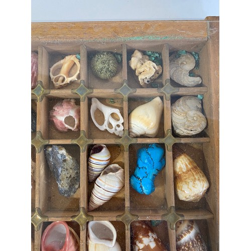 28 - A Good Section Of Minerals Etc To Include Lapis , Crystal , Fossilised Tooth Of Crocodile , Fossil B... 