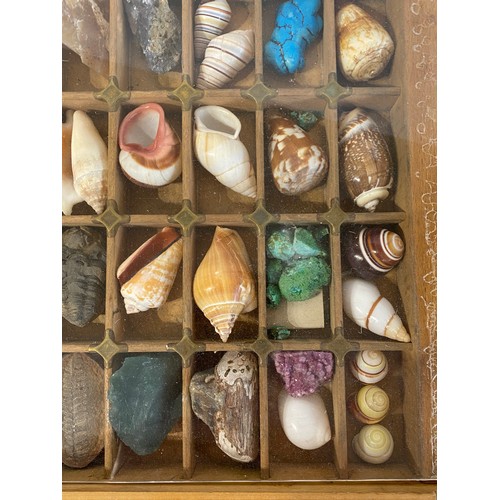 28 - A Good Section Of Minerals Etc To Include Lapis , Crystal , Fossilised Tooth Of Crocodile , Fossil B... 