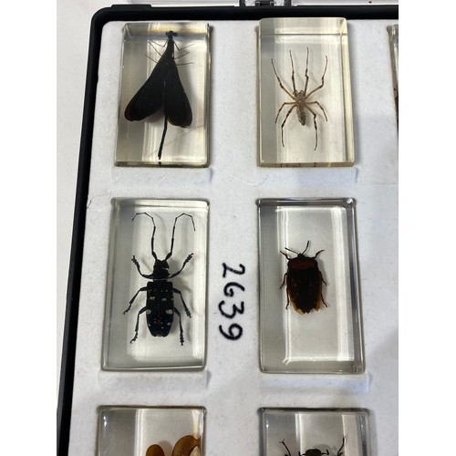 33 - Similar to Previous Lot.  Tray of Encapsulated Insects. 34cm x 29cm