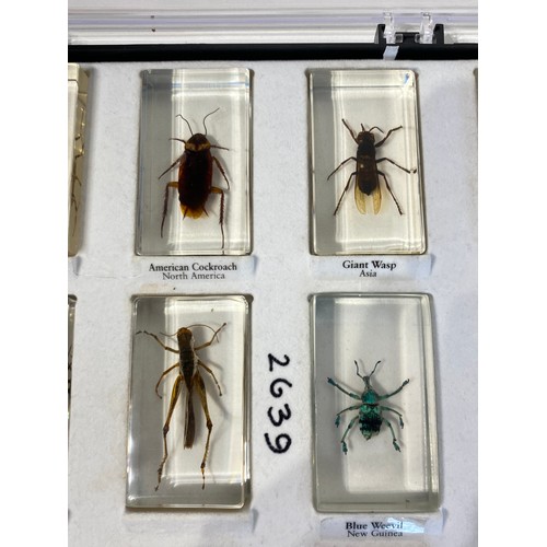 33 - Similar to Previous Lot.  Tray of Encapsulated Insects. 34cm x 29cm