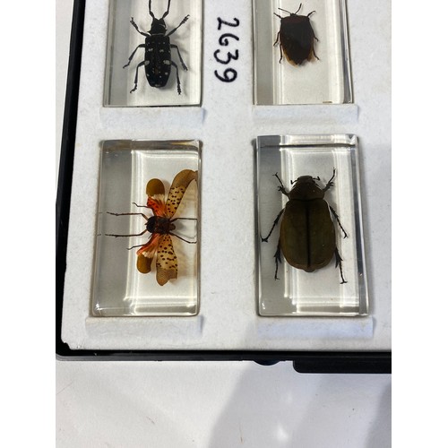 33 - Similar to Previous Lot.  Tray of Encapsulated Insects. 34cm x 29cm