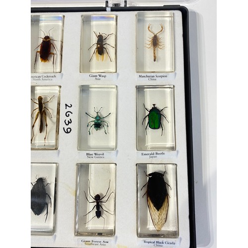 33 - Similar to Previous Lot.  Tray of Encapsulated Insects. 34cm x 29cm