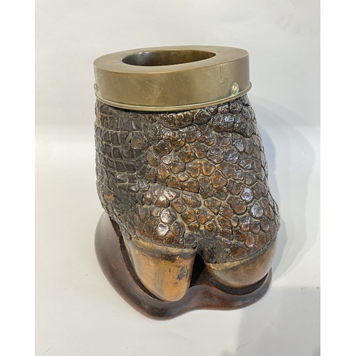 43 - 19th Century Taxidermy Rhino Foot Mounted On Wood With A Brass Rim.  28cm x 26cm x 26cm