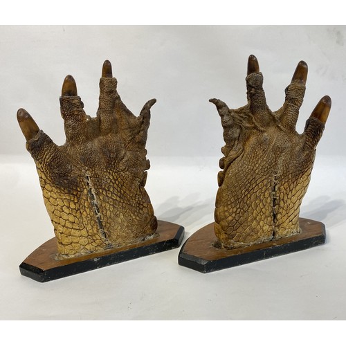 46 - Taxidermy A Pair Of Antique Mounted Hind Feet Of A Large Crocodile  31cm x 27cm x 13cm