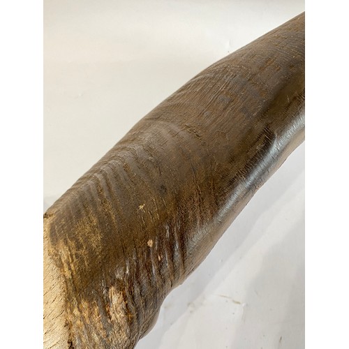 53 - Large Buffalo / Cow  Horns 104cm x 47cm x 20cm