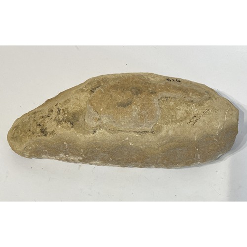 69 - Tharius Fish Fossil . 30cm x 13cm x 7cm