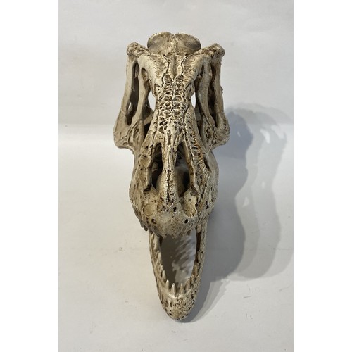 105 - Faux Dinosaur Skull . 39cm x 29cm x 17cm. No 2733