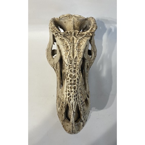 105 - Faux Dinosaur Skull . 39cm x 29cm x 17cm. No 2733