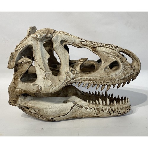 105 - Faux Dinosaur Skull . 39cm x 29cm x 17cm. No 2733