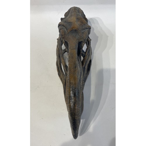 107 - Reproduction sample Of A  Terror Bird Skull. 35cm x 16cm x 11cm