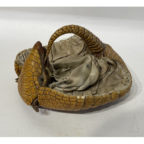 115 - Taxidermy Armadillo in the Form of a Basket. 22.5cm x 22cm x 15cm