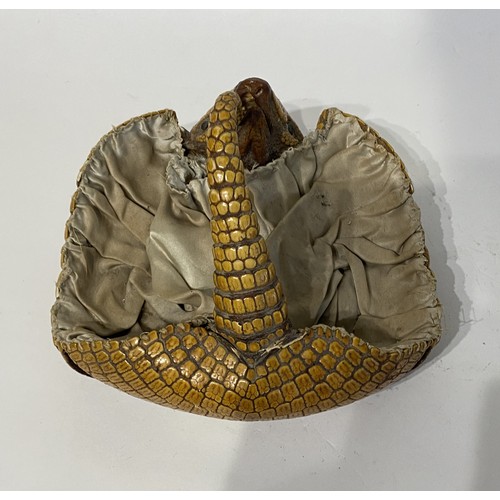 115 - Taxidermy Armadillo in the Form of a Basket. 22.5cm x 22cm x 15cm