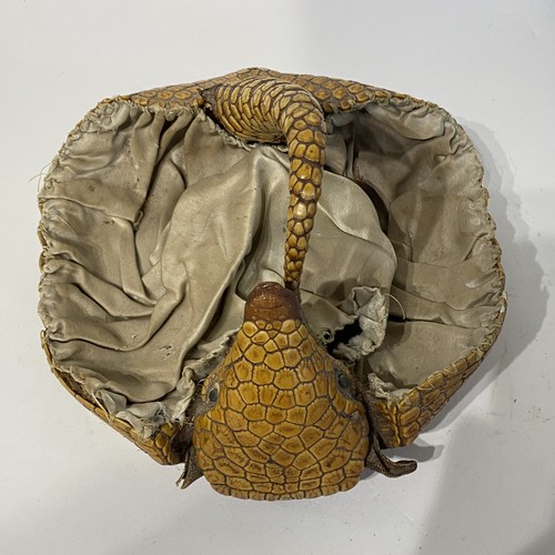 115 - Taxidermy Armadillo in the Form of a Basket. 22.5cm x 22cm x 15cm