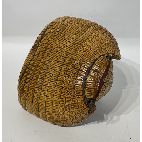 115 - Taxidermy Armadillo in the Form of a Basket. 22.5cm x 22cm x 15cm