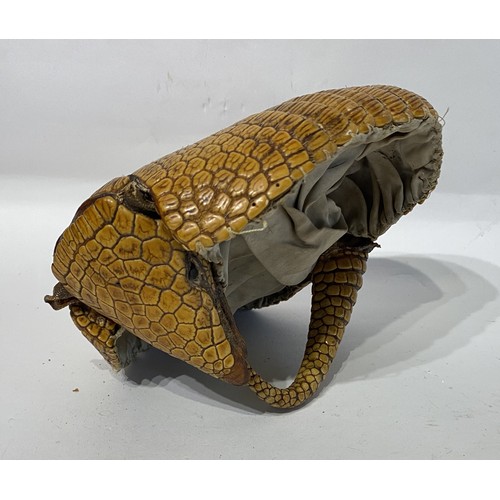 115 - Taxidermy Armadillo in the Form of a Basket. 22.5cm x 22cm x 15cm