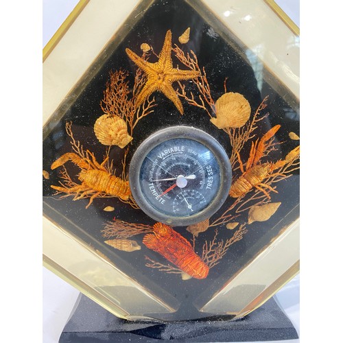 126 - Taxidermy Sea Creatures  Cased in a Resin Display Thermostat. 35cm x 30cm