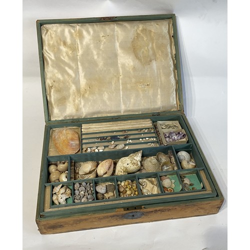 133 - Conchology Cased Collection of Small Shells Etc 42cm x 30cm x 8cm