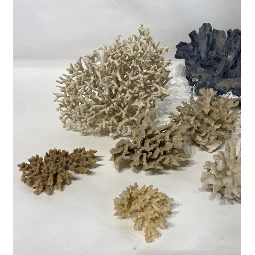 136 - Collection of Coral Examples