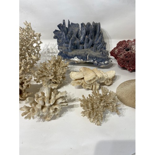 136 - Collection of Coral Examples