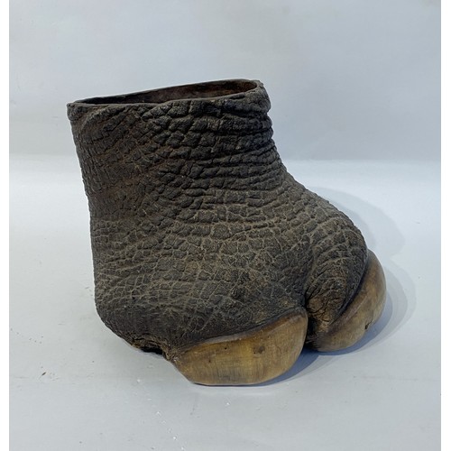 142 - WITHDRAWN Late 19th Century Taxidermy Rhino Foot. 26cm x 22cm x 18cm