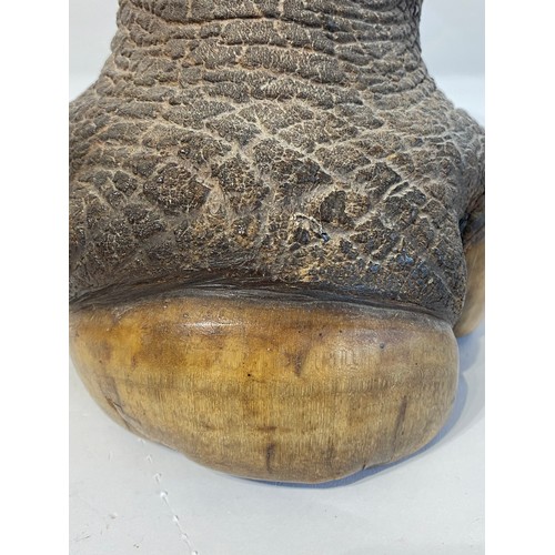 142 - WITHDRAWN Late 19th Century Taxidermy Rhino Foot. 26cm x 22cm x 18cm