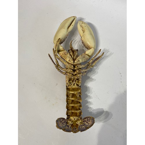 147 - Taxidermy Lobster 30cm Length