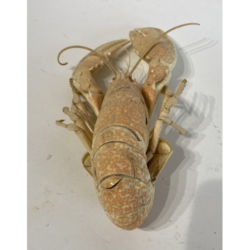 148 - Taxidermy Lobster 30cm Length