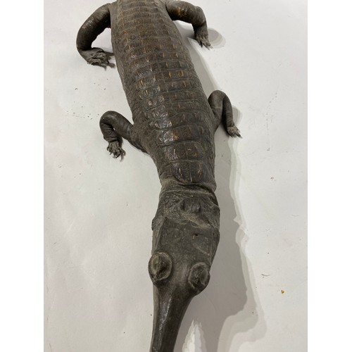 162 - Antique Taxidermy Full Mount  Gharial (GAVIALIS GANGETICIUS) With Mouth Agape Cites Annex A, Appendi... 