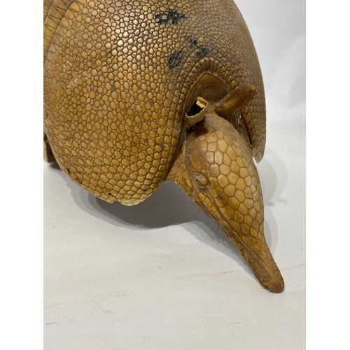 172 - Taxidermy Armadillo. 56cm x 21cm x 19cm