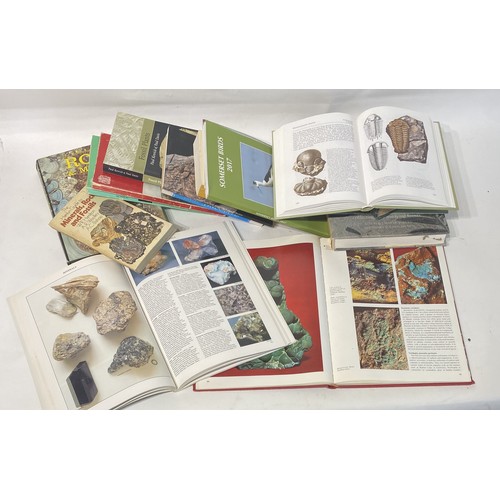 178 - Collection of Vintage Books to Include Fossils, Geology and Rocks and Minerals Subject Matter From a... 