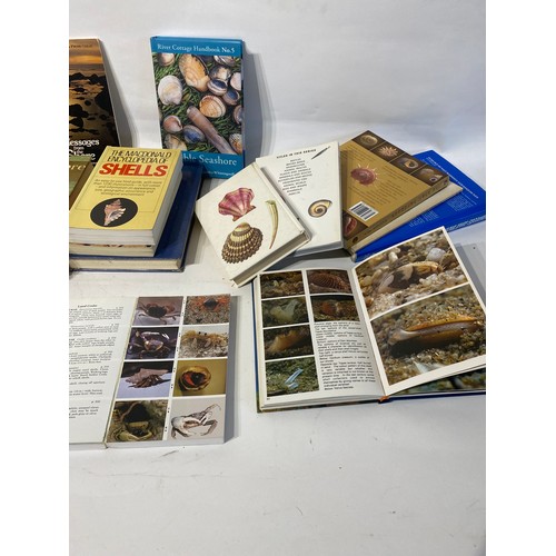 182 - Collection of Vintage Natural History Seashells, Seashore and Seaweed Books From a Private Collectio... 